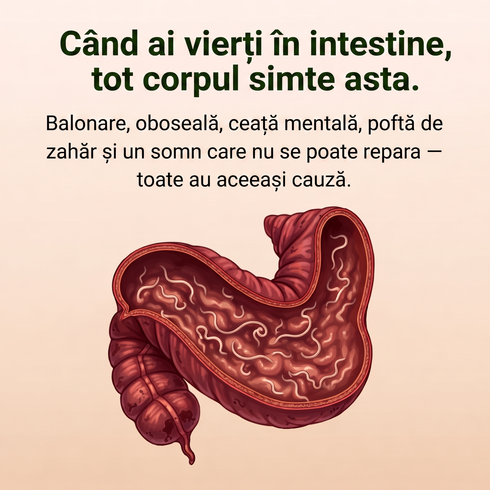 Set Belviat Detox cu Ulei de Ricin